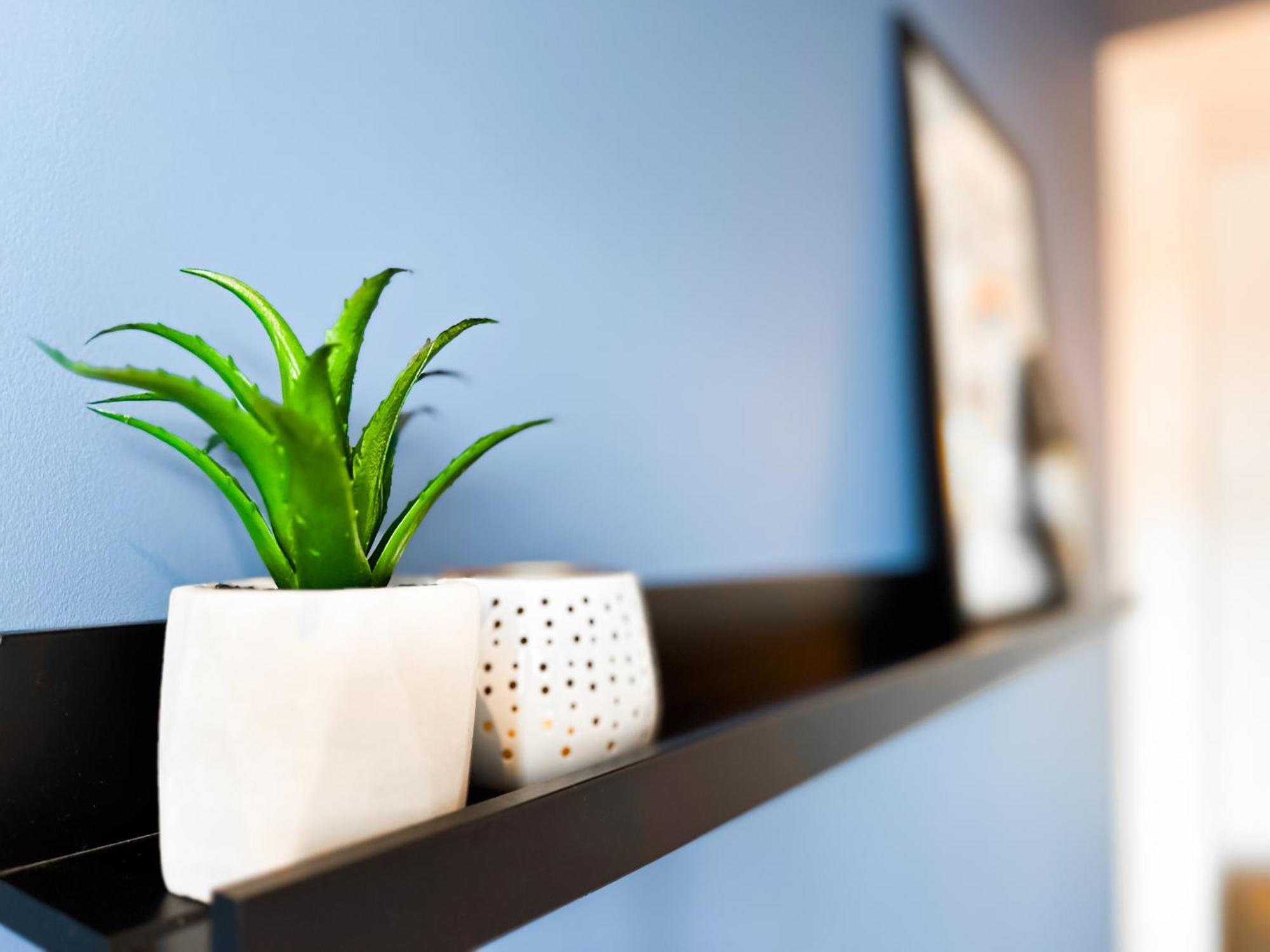 Apartament 4 Bdr 2 Bth Netflix Panorama Views Sofia Zewnętrze zdjęcie